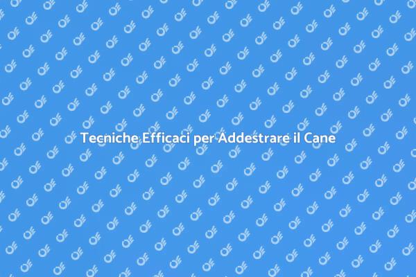 Guida all'Addestramento del Tuo Cane