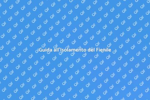 Isolare il Fienile per Comfort e Risparmio
