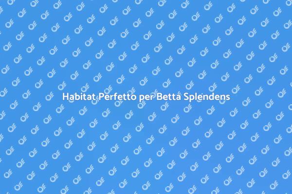 L'Acquario Perfetto per Pesci Betta