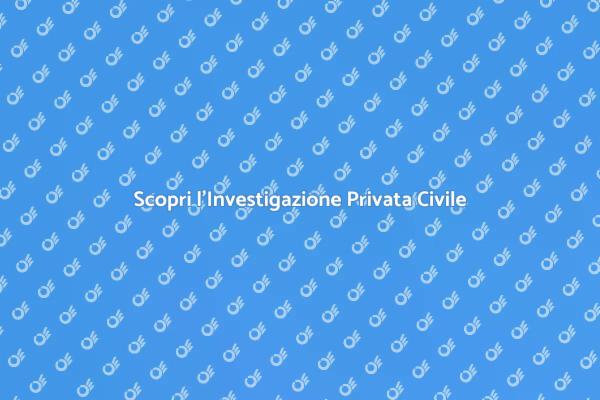 L'Arte dell'Investigazione Civile