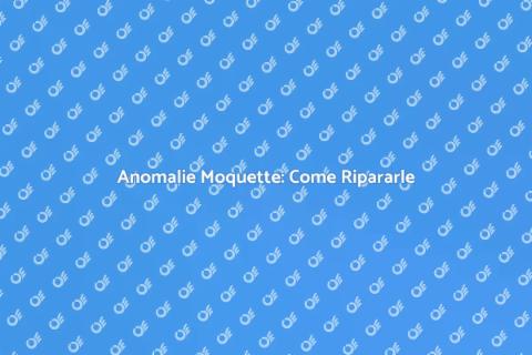 Riparazione Anomalie Moquette Casa