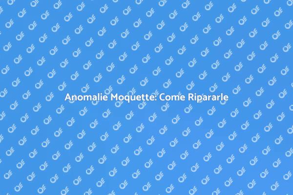 Rinnova la Tua Moquette Facile e Veloce