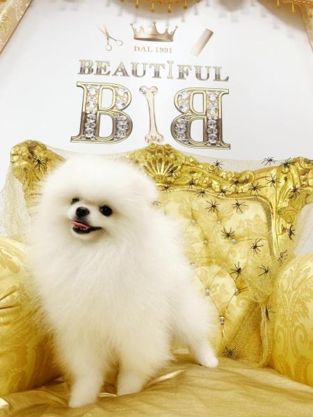 Beautiful - Foto 6