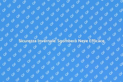 Sgombero Neve: Sicurezza Stradale Invernale