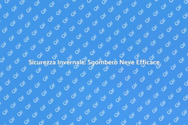 Sgombero Neve: Mantieni Strade Sicure