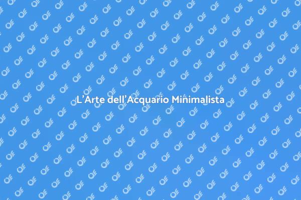 Crea il Tuo Acquario Minimalista
