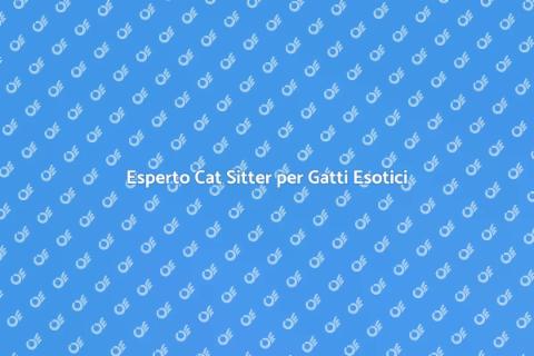 Cat Sitter Esperto in Gatti Esotici