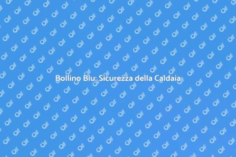 Certificazione Annua: Bollino Blu Caldaia