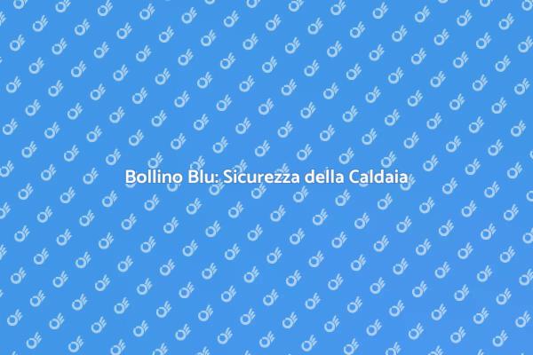 Manutenzione Caldaia: Bollino Blu Essenziale