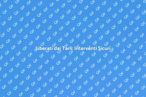 Rimozione Tarli: Soluzioni Efficaci