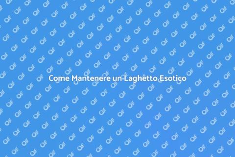 Manutenzione Laghetto con Piante Esotiche