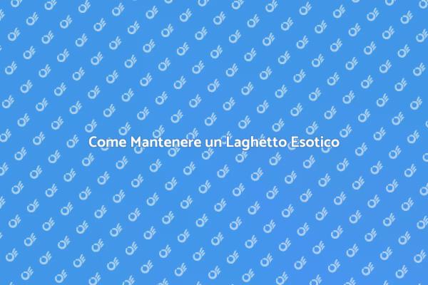 Laghetto con Piante: Guida alla Manutenzione