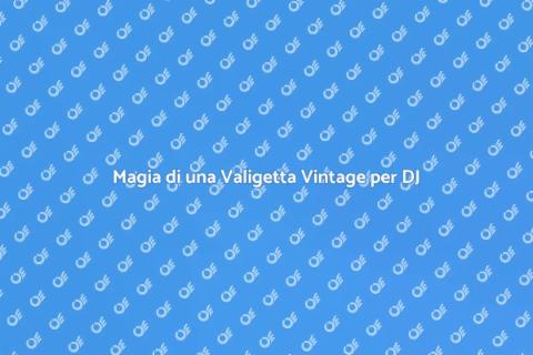 Valigetta Vintage per DJ: Stile e Musica