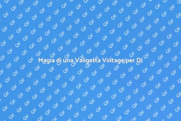 Valigetta Vintage: Passione e Stile DJ