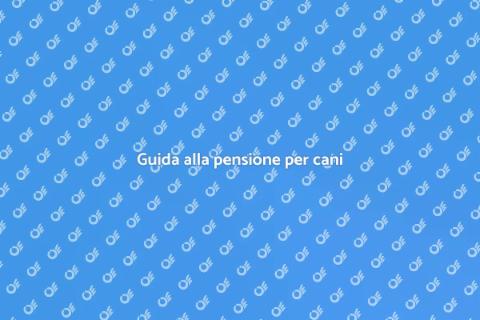 Portare il cane in pensione: guida