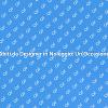 Noleggia Abiti da Designer per Ogni Evento