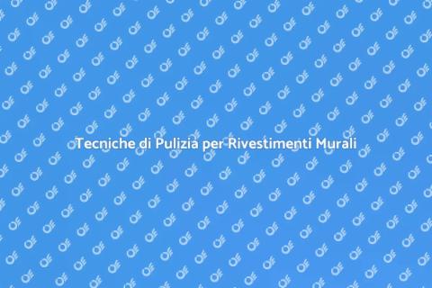 Pulizia Rivestimenti Murali in Casa