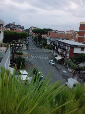 Il Pinolo Giardinaggio  - Foto 3