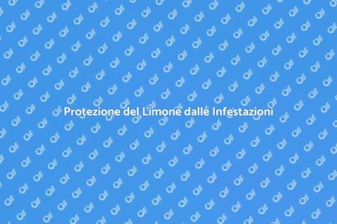 Salvaguardare il Limone dalle Infestazioni