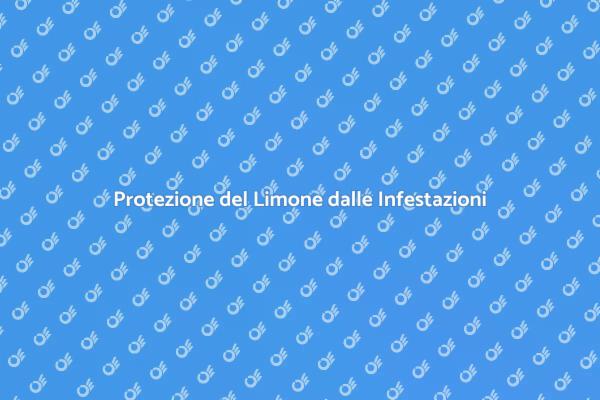 Proteggi il Tuo Limone dalle Infestazioni