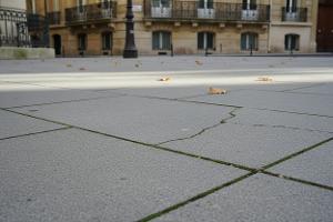 un vialetto in cemento: Da €6