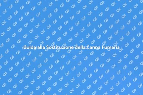 Sostituire Canna Fumaria Esistente