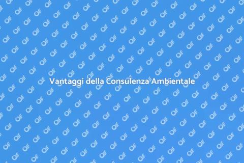 Consulenza Ambientale per la Tua Casa