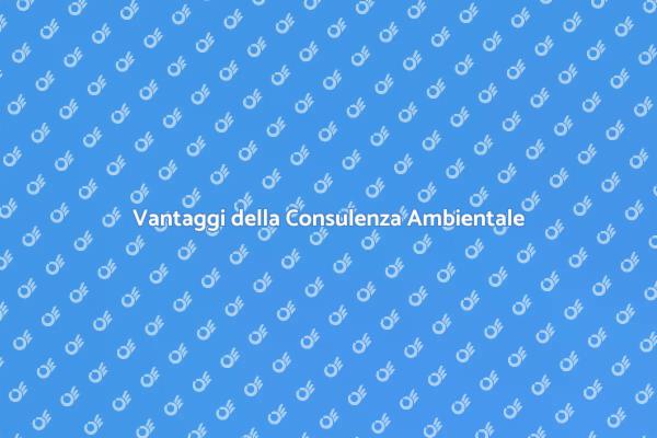 Consulente Ambientale: Vantaggi per Casa