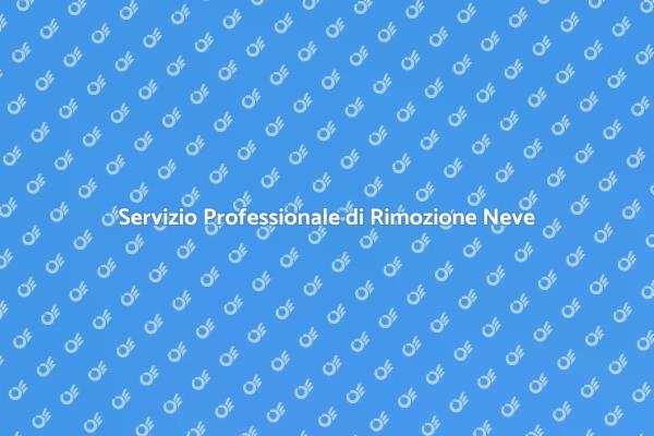 Sicurezza Invernale con Rimozione Neve