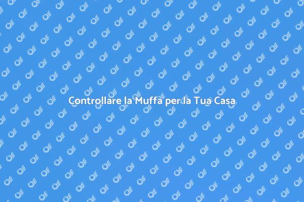 Muffa: Controlla la Salute della Tua Casa
