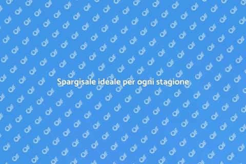 Miglior spargisale per ogni clima