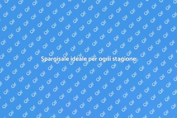 Scegli il giusto spargisale per l'inverno
