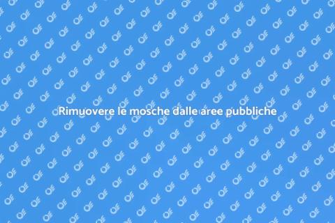 Disinfestare aree pubbliche dalle mosche