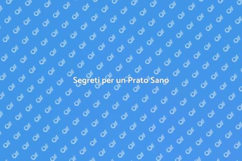 Mantenere un Prato Sano e Verde