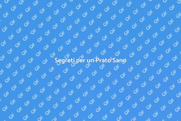 Come Avere un Prato Perfetto