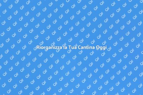 Svuotamento Cantine Professionale