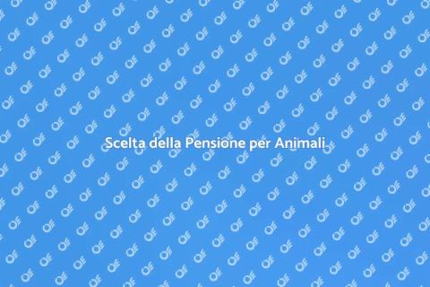 Pensione per Animali Domestici