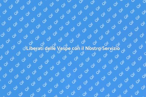 Disinfestazione Vespe: Servizio Efficace