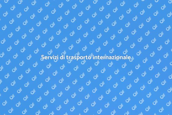 Scopri il trasporto internazionale