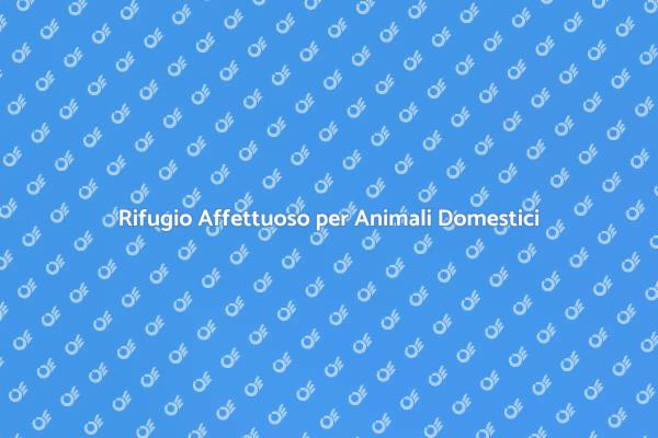 Pensione Sicura per i Tuoi Animali