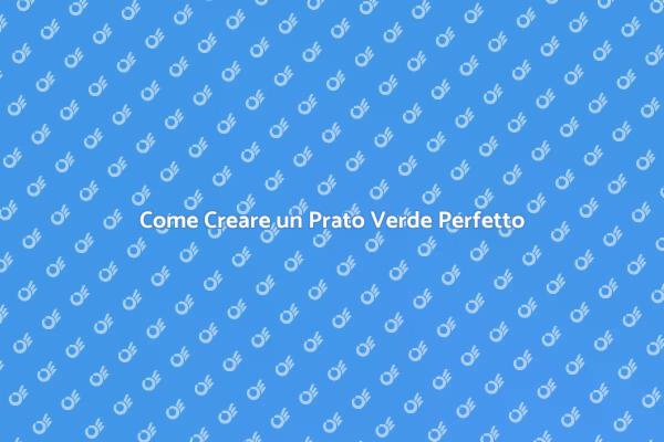 Trasforma il Tuo Giardino con un Prato