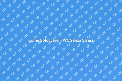 Sbloccare lo Scarico del WC Facile
