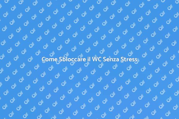 Soluzioni per WC Intasato Efficaci