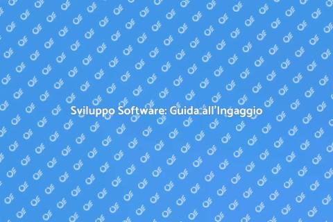 Ingaggiare Sviluppatore Software