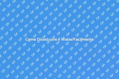 Disostruire il Water della Toilette