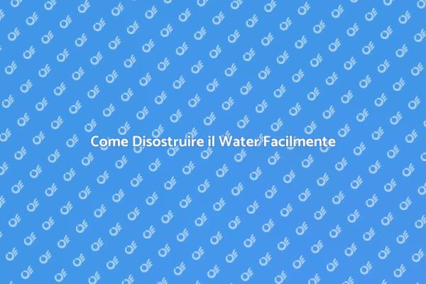 Soluzioni per Disostruire il Water
