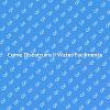 Soluzioni per Disostruire il Water