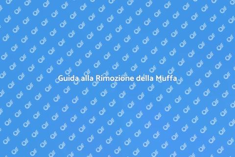 Rimozione Definitiva della Muffa