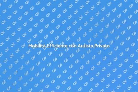 Servizio di Autista Privato Completo