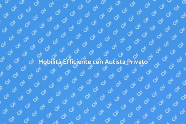 Pacchetto Completo di Autista Privato